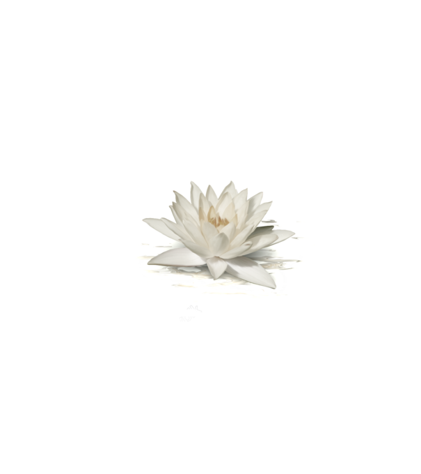 CHAKRA KOLLEKCIÓ - FEHÉR LÓTUSZ minta fehér pólón