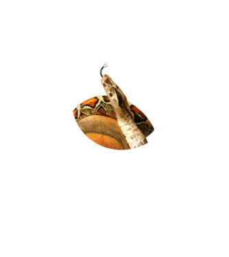 1601044662860 minta fehér pólón