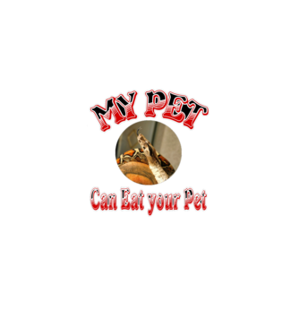 1606497051506 minta fekete pólón