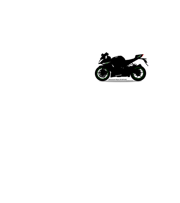 0003_Kawasaki_Ninja_ZX_6R 636 minta neonsárga pólón