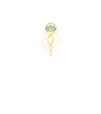 Lotus minta fekete pólón