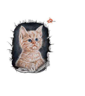 Cuki cat minta világoskék pólón