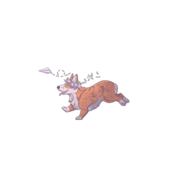 corgi minta minta fehér pólón