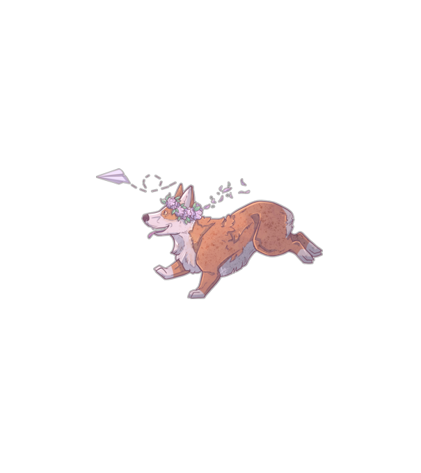 corgi minta minta fehér pólón