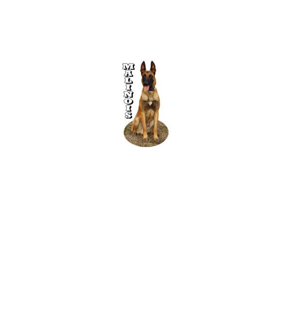 Malinois in ellips minta fehér pólón