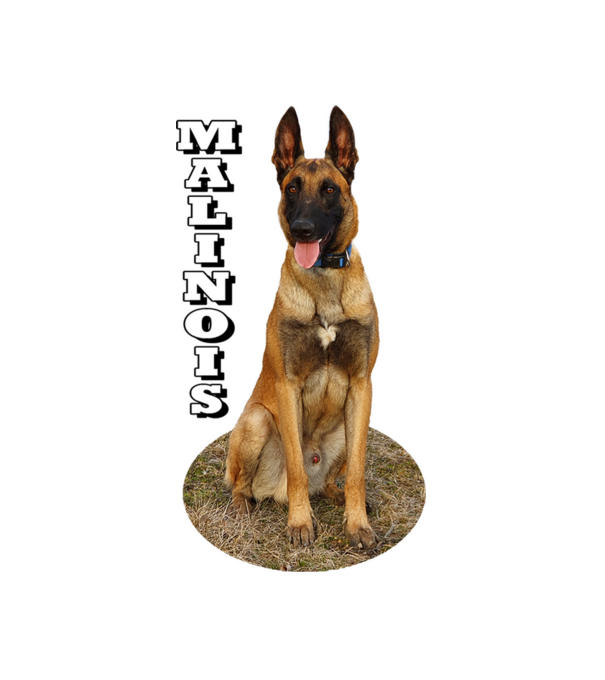 Malinois in ellips minta fehér pólón