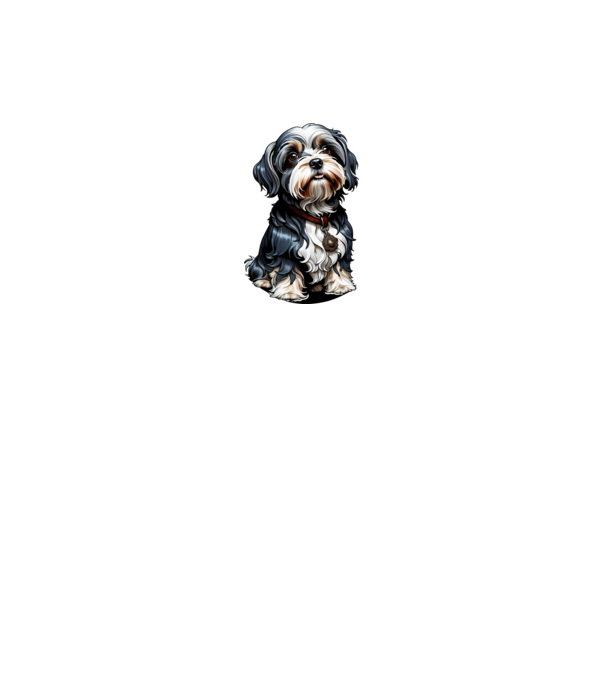 Bishon havanese 01 minta királykék pólón