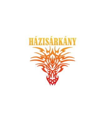 Házisárkány minta fekete pólón