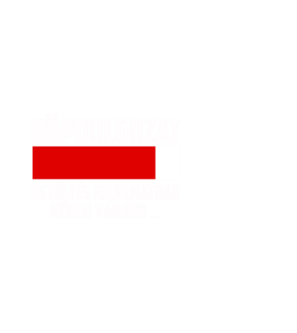 Röpdolgozat minta fehér pólón