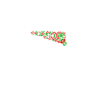 Magyarország  minta fekete pólón