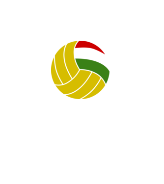 Waterpolo Hungary minta szürke pólón