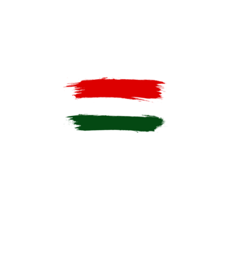 Magyar zászló (festett stílus) minta  pólón