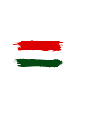 Magyar zászló (festett stílus) minta fekete pólón