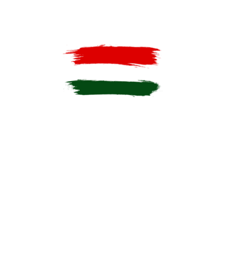 Magyar zászló (festett stílus) minta fekete pólón