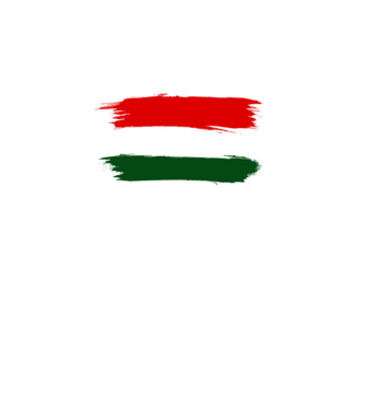 Magyar zászló (festett stílus) minta fekete pólón
