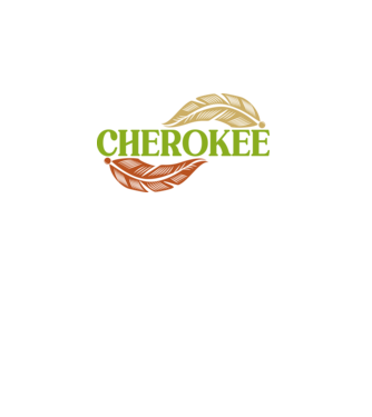 Cherokee (military) minta türkiz pólón