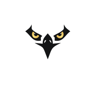 eagle face minta türkiz pólón