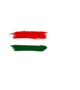 Magyar zászló (festett stílus) minta fehér pólón