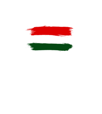 Magyar zászló (festett stílus) minta fekete pólón
