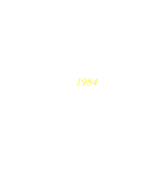 Modern Talking 1984 minta piros pólón