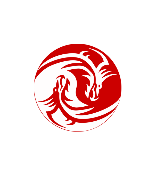 Dragon Jin Jang minta fehér pólón