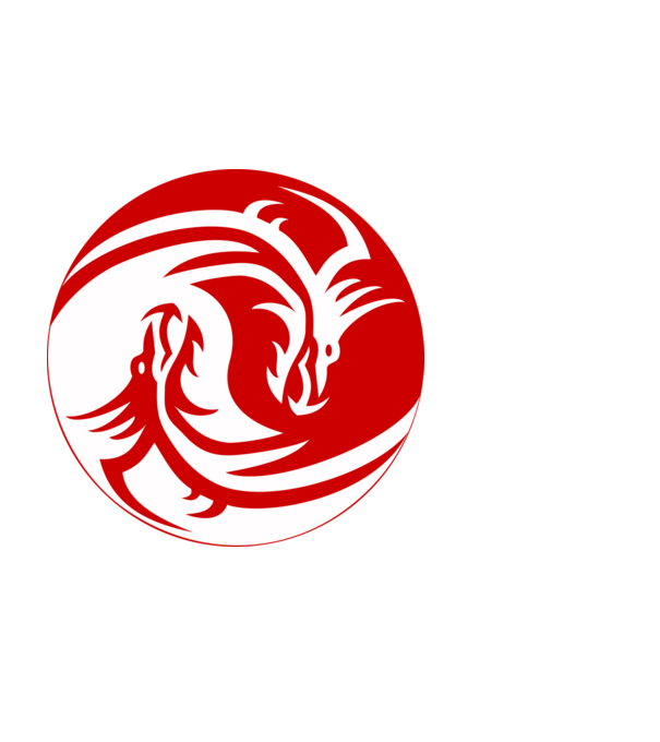 Dragon Jin Jang minta fekete pólón