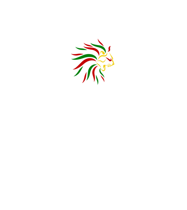 Hungary oroszlános . minta fekete pólón