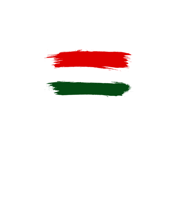 Magyar zászló (festett stílus) minta fekete pólón