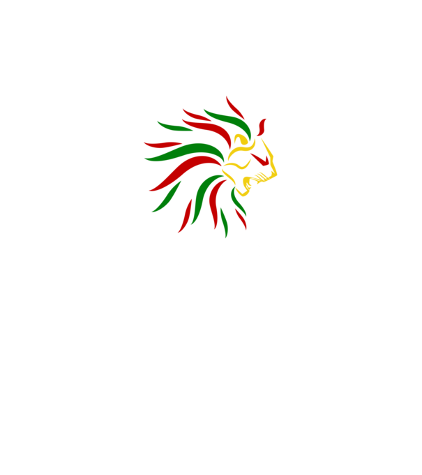 Hungary oroszlános . minta fekete pólón