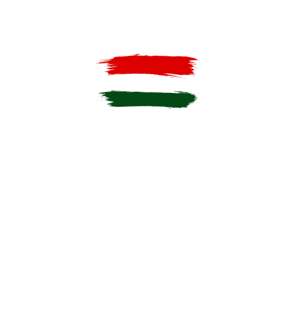 Magyar zászló (festett stílus) minta fekete pólón
