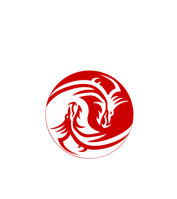 Dragon Jin Jang minta fekete pólón