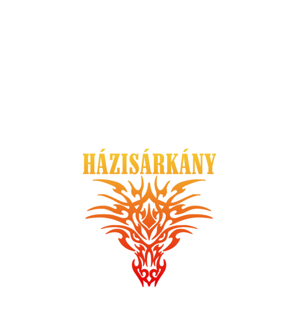 Házisárkány minta fekete pólón