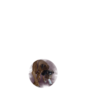 CLEO minta világos rózsaszín pólón