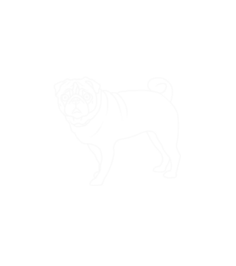 Mopsz minta fehér pólón