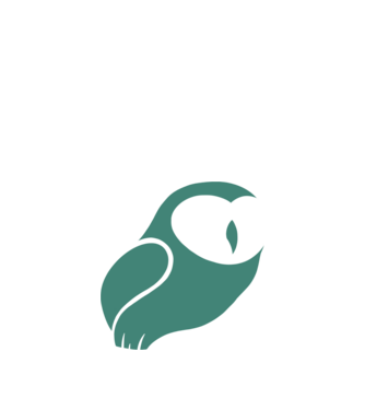 Bagoly minta fehér pólón