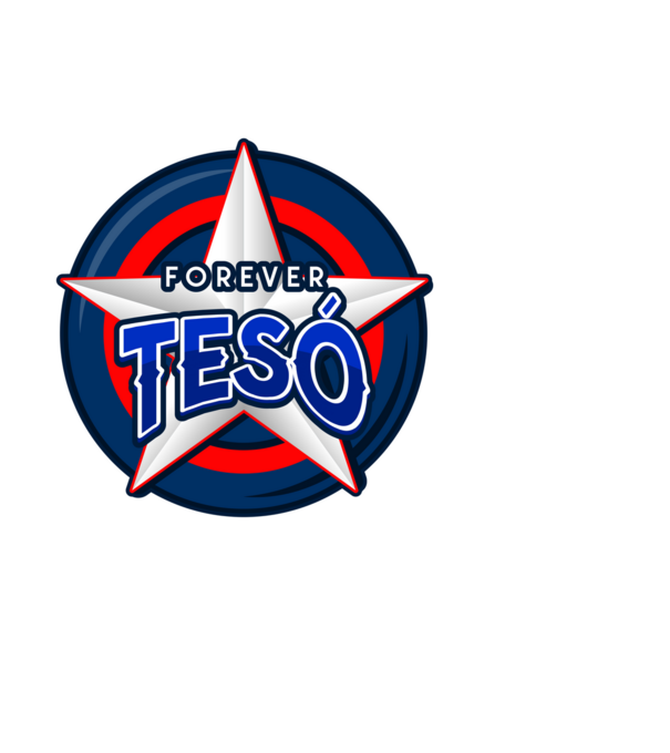 TESÓ minta sötétkék pólón