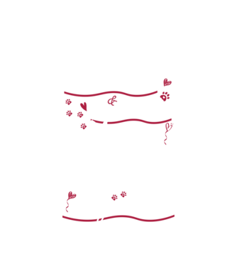 Macskás szív és macskás lélek (fehér) minta fehér pólón
