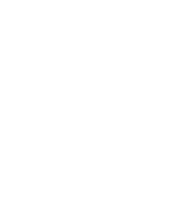 Adicats minta neonsárga pólón