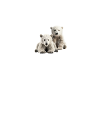 Baby polar bears minta királykék pólón