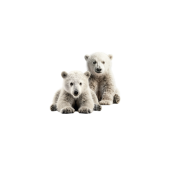 Baby polar bears minta neonpink pólón