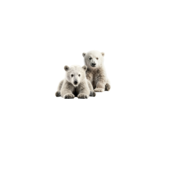 Baby polar bears minta piros pólón