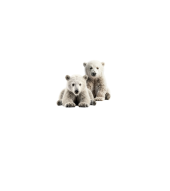 Baby polar bears minta farmerkék pólón