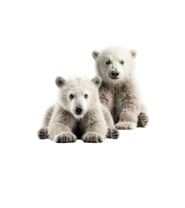 Baby polar bears minta homokszín pólón