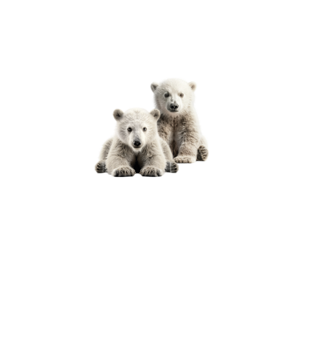 Baby polar bears minta fekete pólón