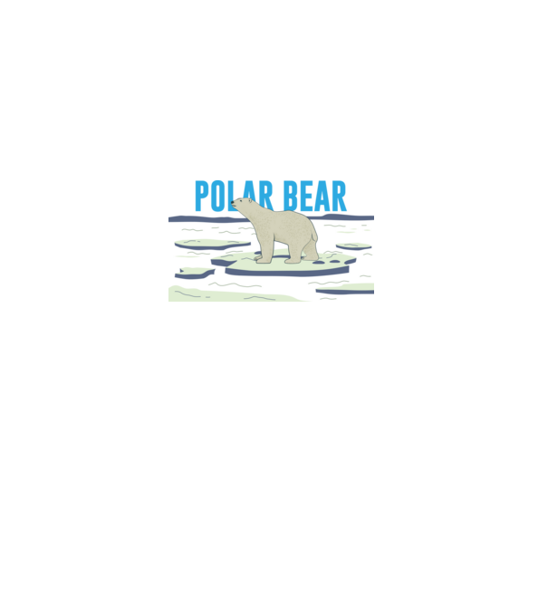 POLAR BEAR ICE minta szürke pólón