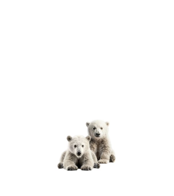 Baby polar bears minta fehér pólón