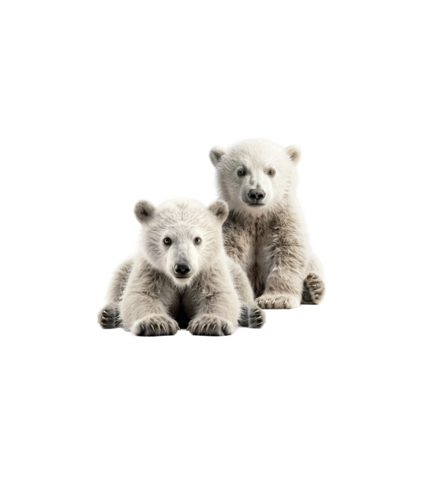 Baby polar bears minta fehér pólón