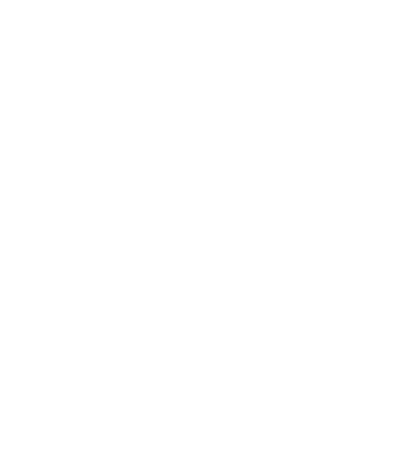VAN NÁLUNK MINDEN minta fekete pólón