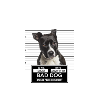 American staffordshire terrier - Bad Dog minta fehér pólón