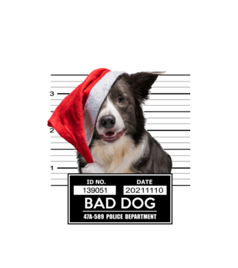 Border Collie - Bad Dog minta fehér pólón